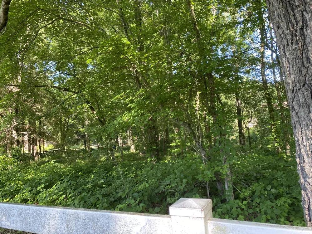 Professional residential landscaping in Oakland, TN by Two Brothers Landscape