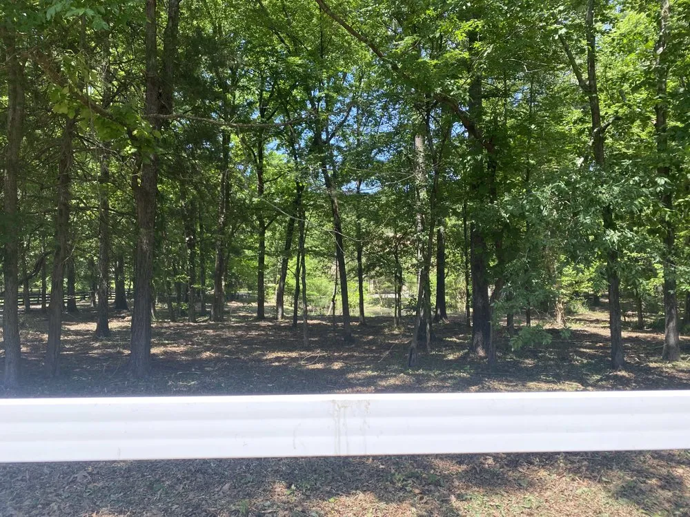 Expert yard cleanup service with custom design across Oakland, TN - Two Brothers Landscape