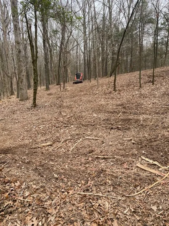 Local outdoor landscaping for beautiful yards across Oakland, TN - Two Brothers Landscape