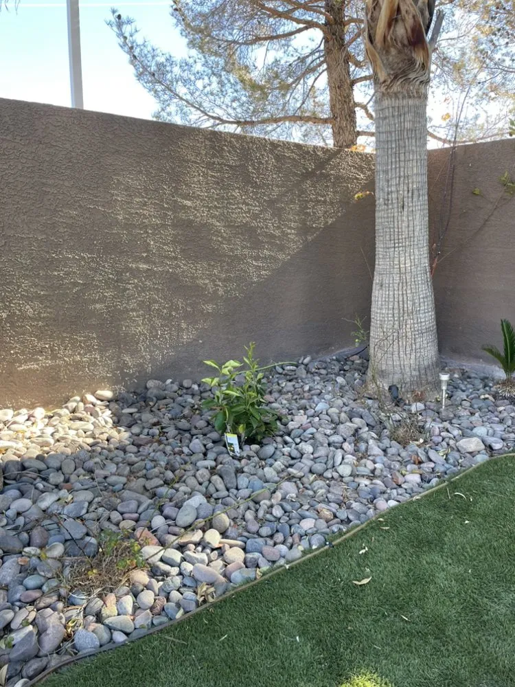 Reliable yard cleanup service for homes in Las Vegas, NV by Two Brothers Landscaping