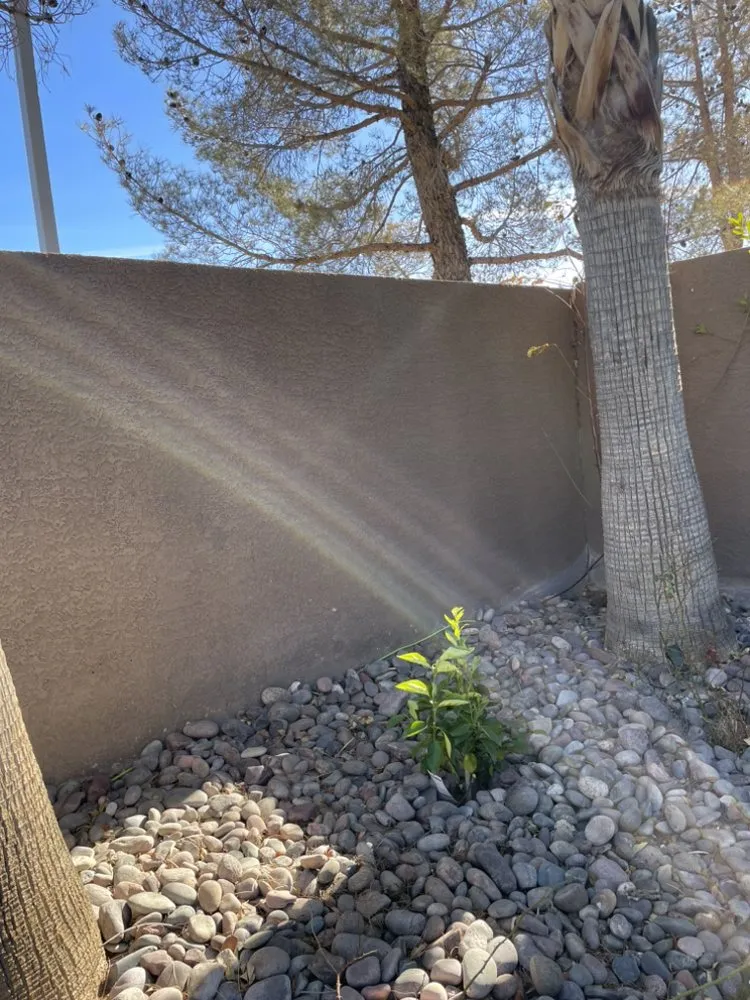 Trusted outdoor landscaping experts serving Las Vegas, NV - Two Brothers Landscaping