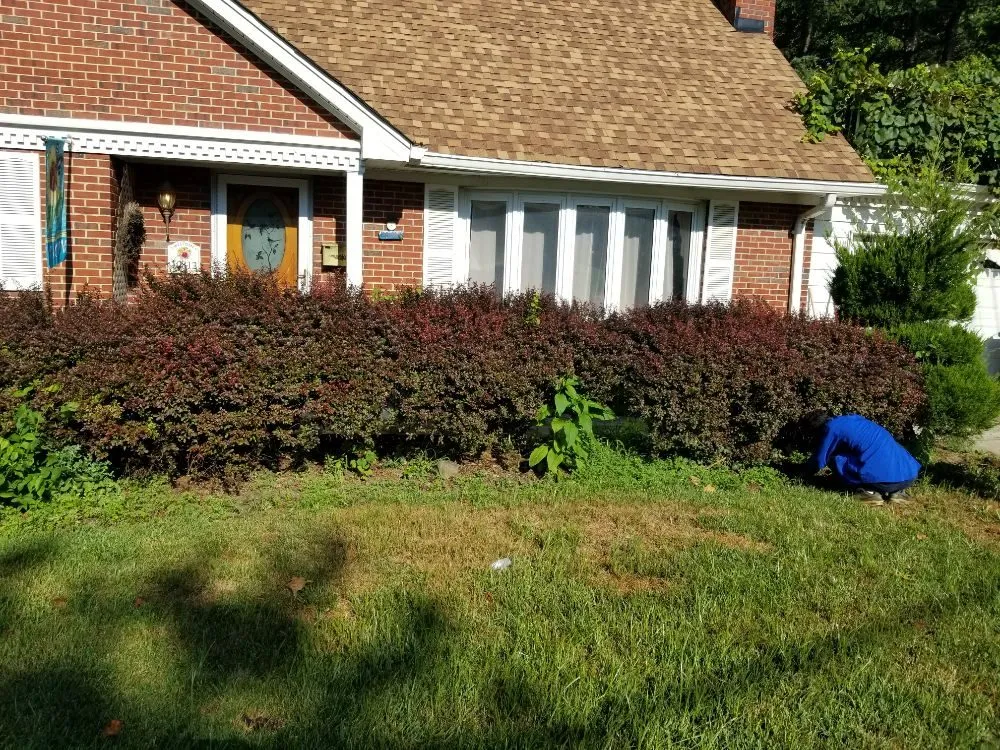 Affordable yard cleanup service in Gaithersburg, MD by Two Brothers Landscaping Service