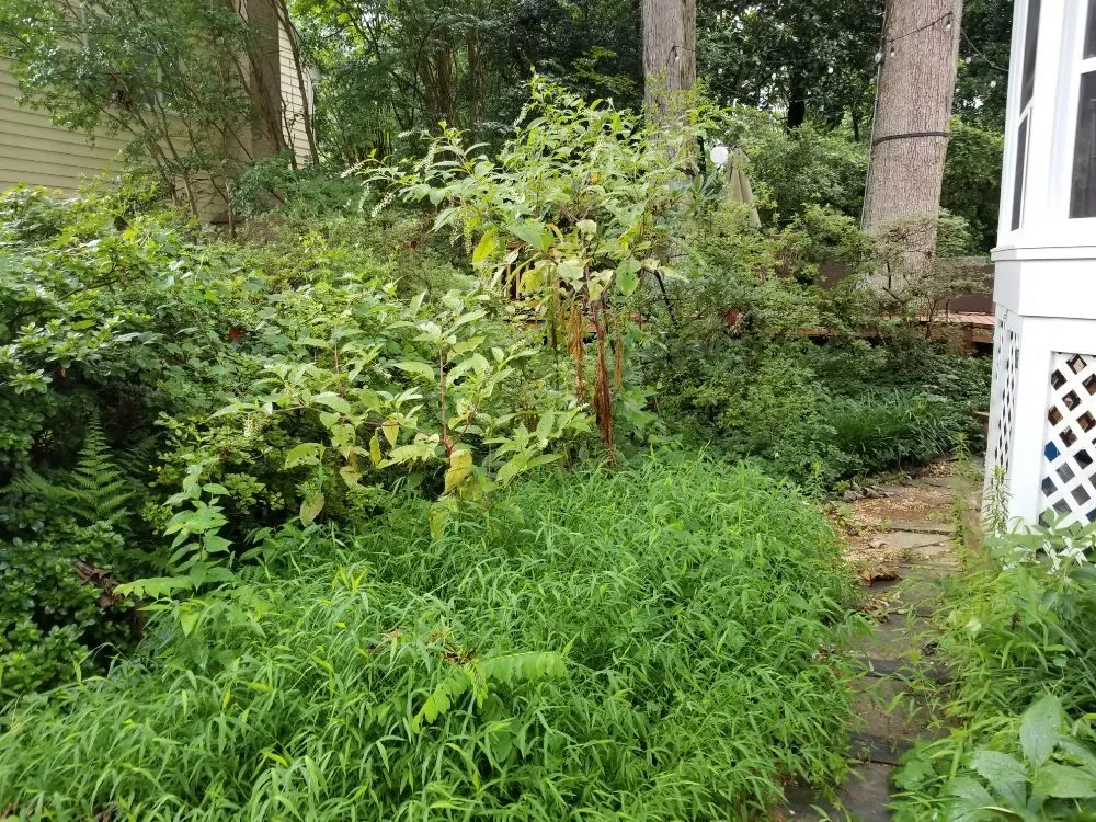 Reliable outdoor landscaping for year-round maintenance in Gaithersburg, MD by Two Brothers Landscaping Service