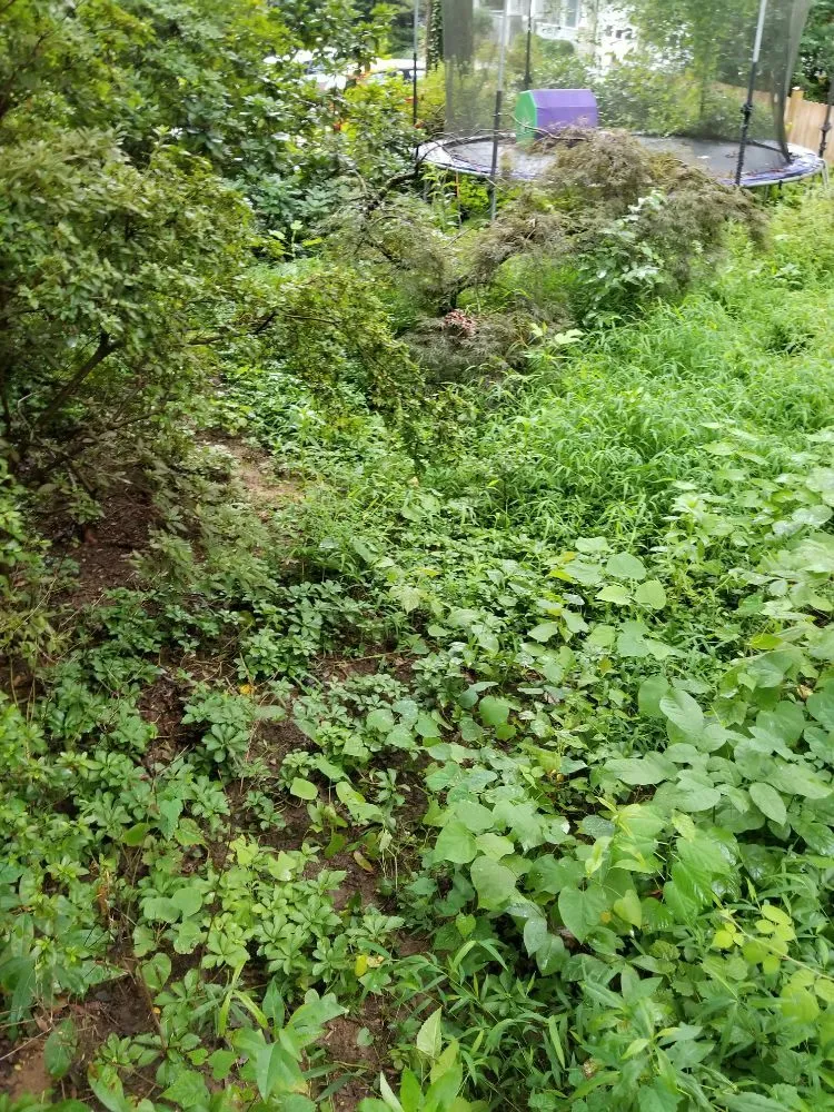 Professional garden landscaping experts serving Gaithersburg, MD - Two Brothers Landscaping Service