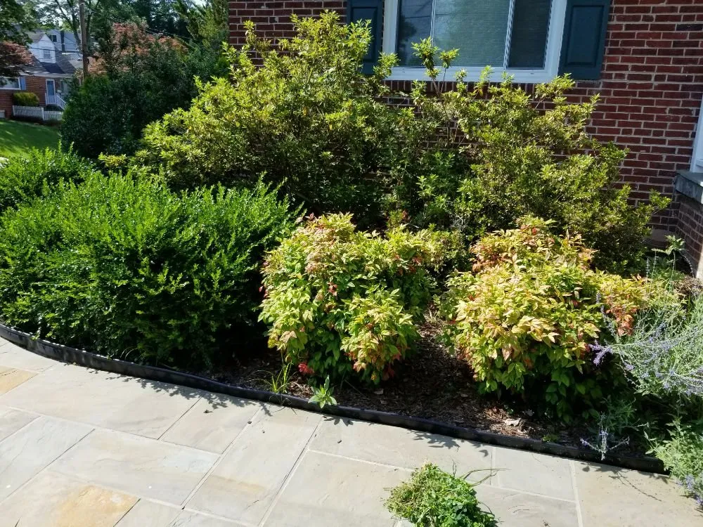 Professional lawn mowing service in Gaithersburg, MD - Two Brothers Landscaping Service