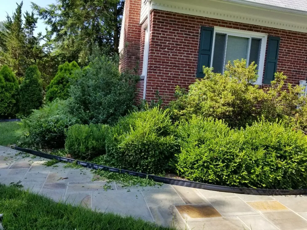 Local lawn care service experts serving Gaithersburg, MD - Two Brothers Landscaping Service