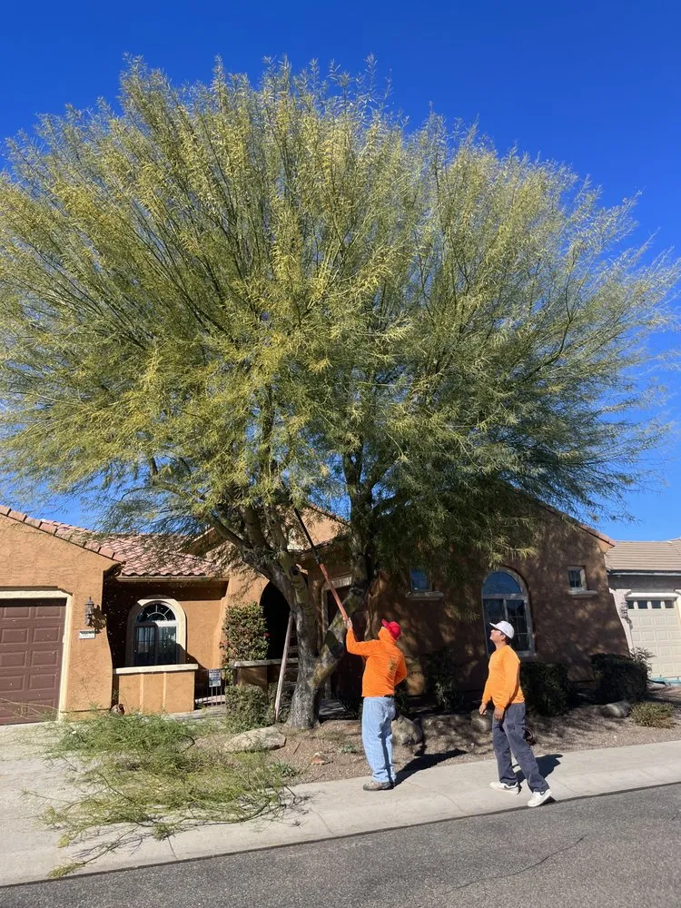 Top-rated landscaping services in El Mirage, AZ by Two Brothers Landscaping Services