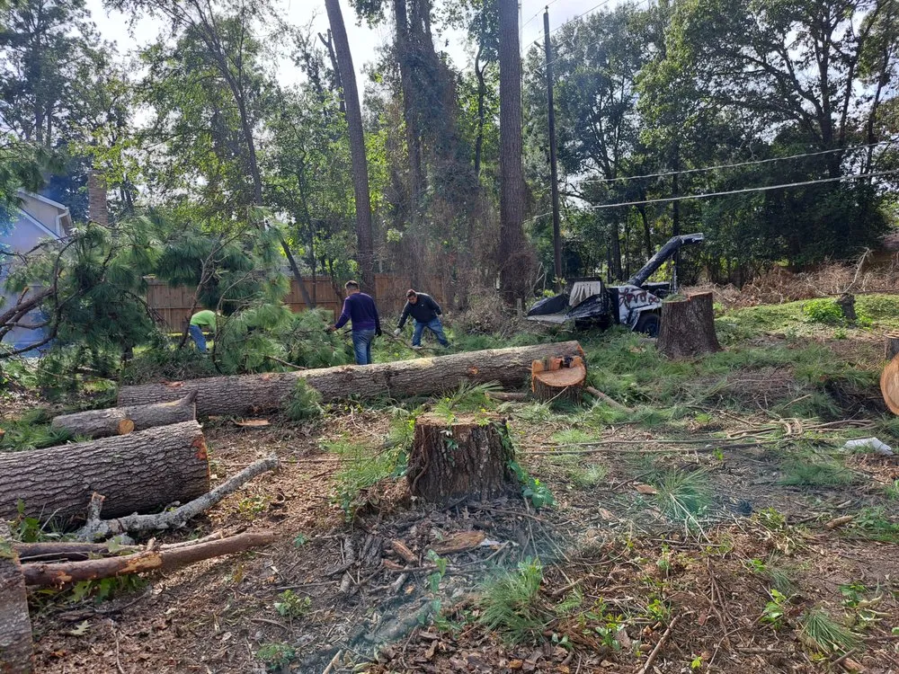 Professional outdoor landscaping in Shenandoah, TX - Two brothers landscaping