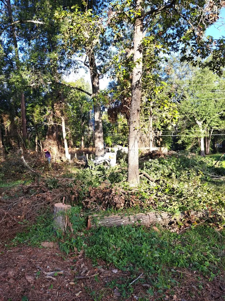 Reliable lawn care service for outdoor upgrades across Shenandoah, TX - Two brothers landscaping