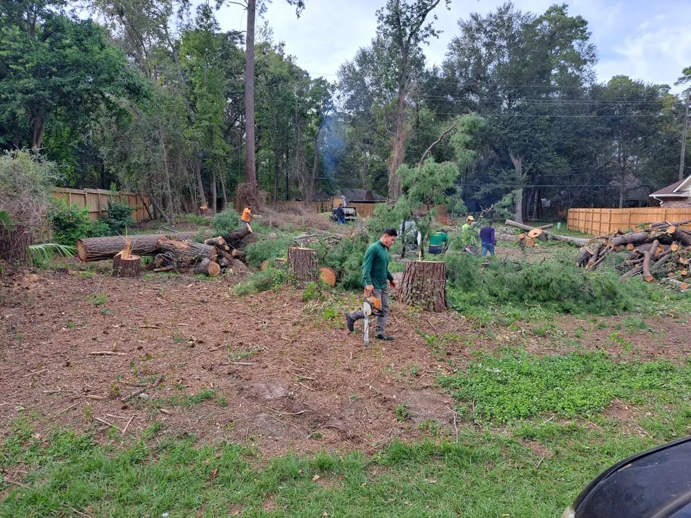 Reliable landscape design in Shenandoah, TX by Two brothers landscaping