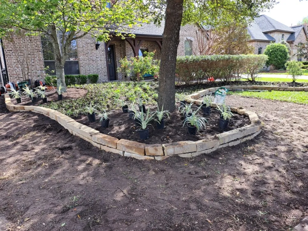 Professional yard cleanup service for residential properties in Shenandoah, TX by Two brothers landscaping