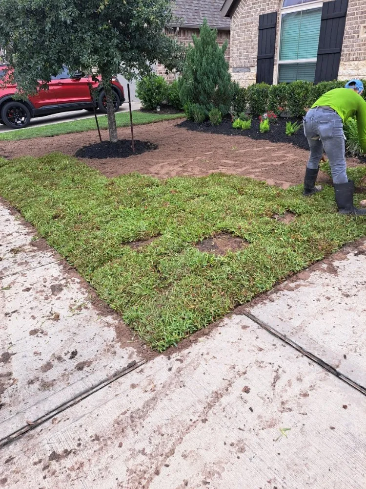 Top-rated outdoor landscaping for year-round maintenance across Shenandoah, TX - Two brothers landscaping