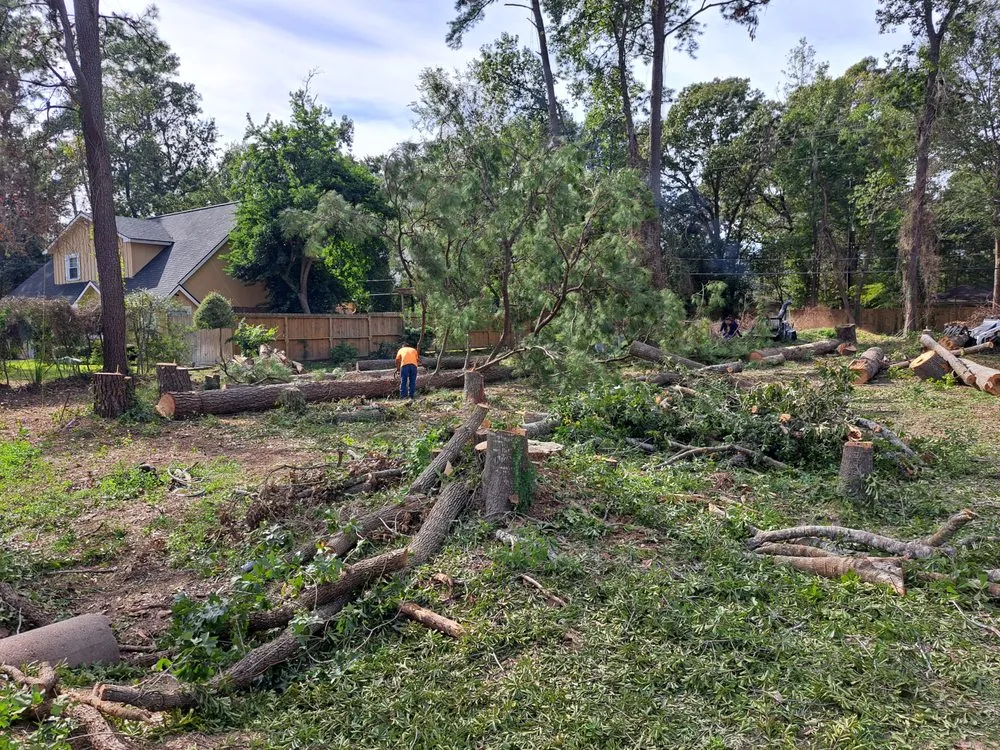 Reliable landscaping services in Shenandoah, TX by Two brothers landscaping