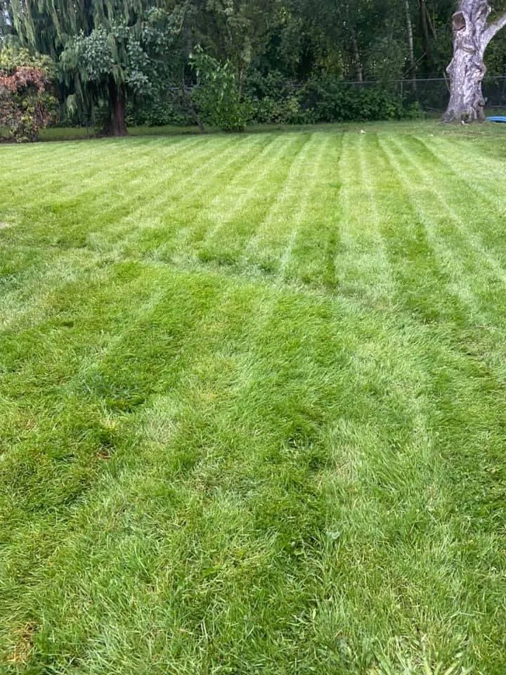 Reliable residential landscaping in Lynnwood, WA - two brothers lansdcaping