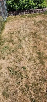 Two Brothers Lawn And Snow