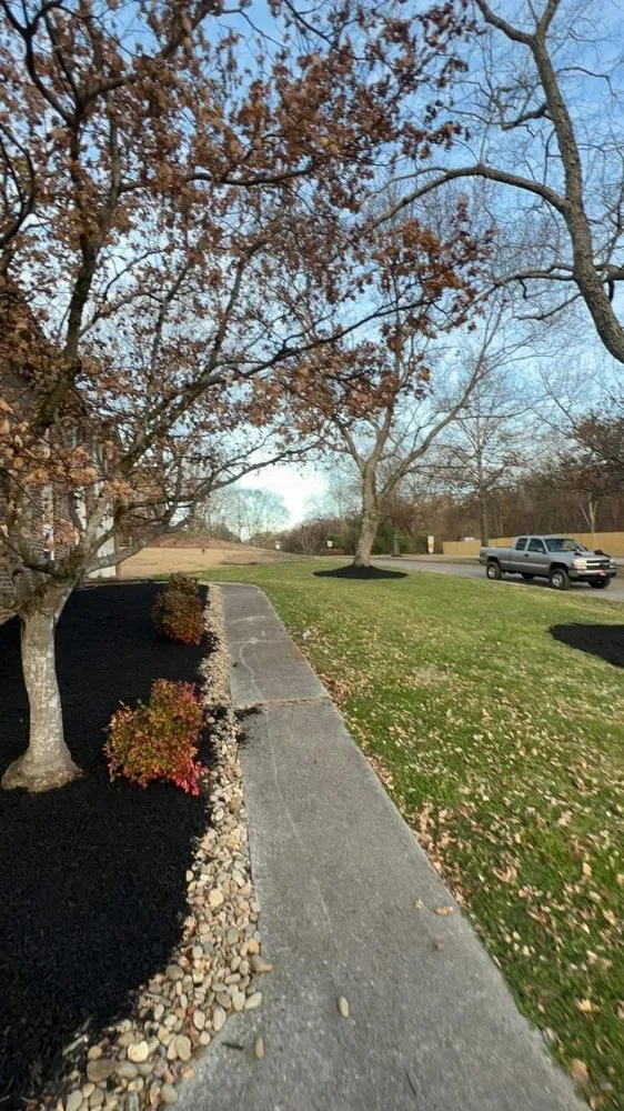 Affordable yard cleanup service for year-round maintenance in La Follette, TN by Two Brothers Lawn Care & Landscape