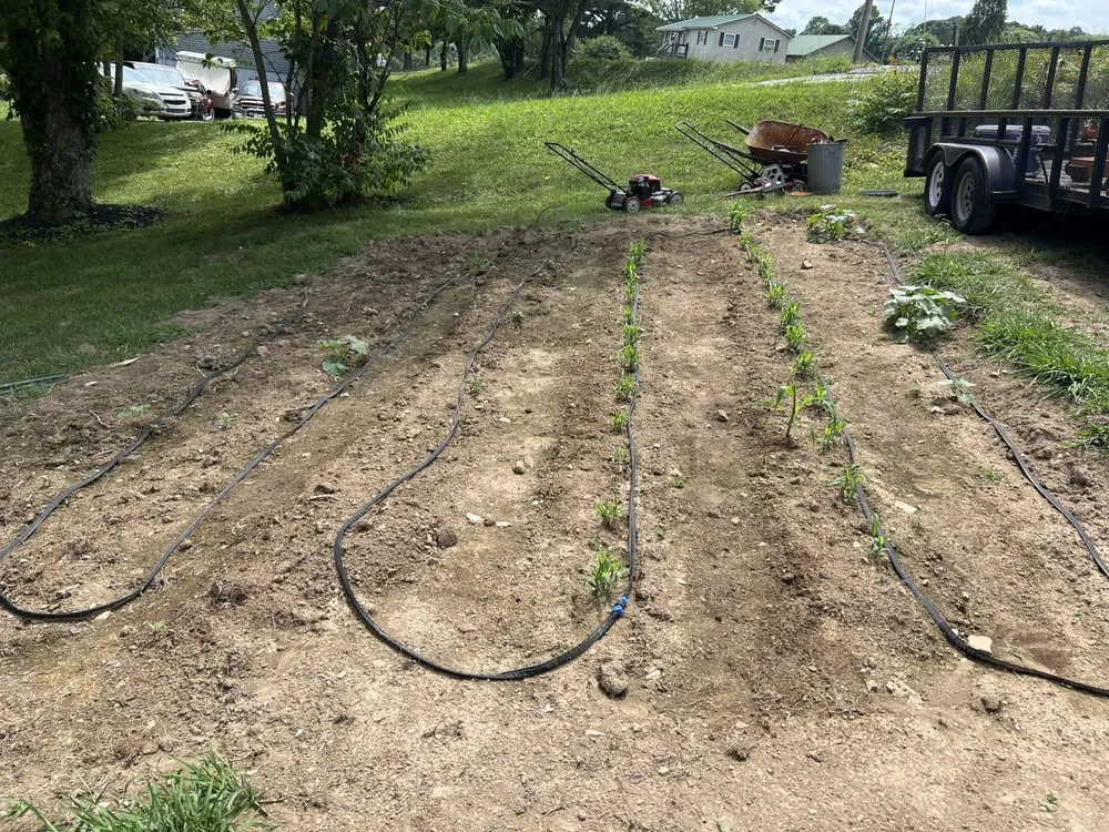 Local yard cleanup service in La Follette, TN - Two Brothers Lawn Care & Landscape