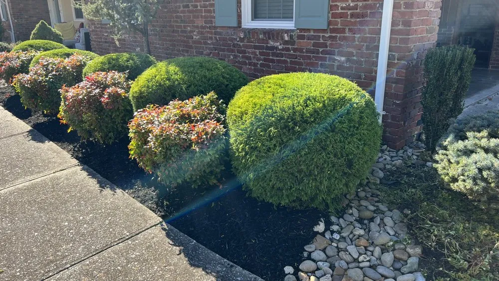 Custom yard cleanup service in La Follette, TN - Two Brothers Lawn Care & Landscape