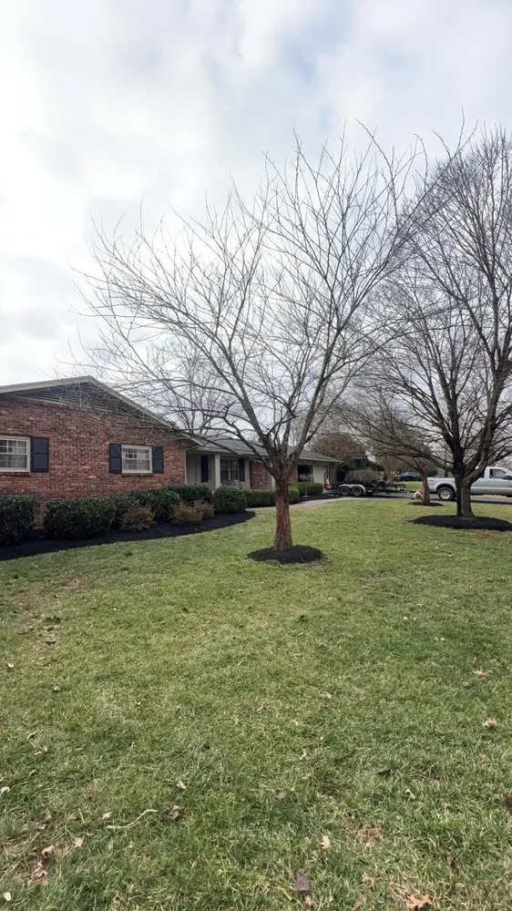 Local landscape design for outdoor upgrades across La Follette, TN - Two Brothers Lawn Care & Landscape