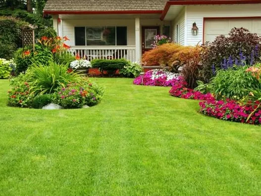Local yard cleanup service experts serving Austin, TX - Two Brothers Lawn Care
