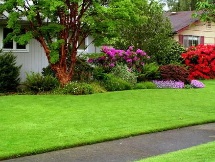 Local yard maintenance experts serving Austin, TX - Two Brothers Lawn Care