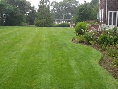 Expert yard cleanup service in Austin, TX - Two Brothers Lawn Care