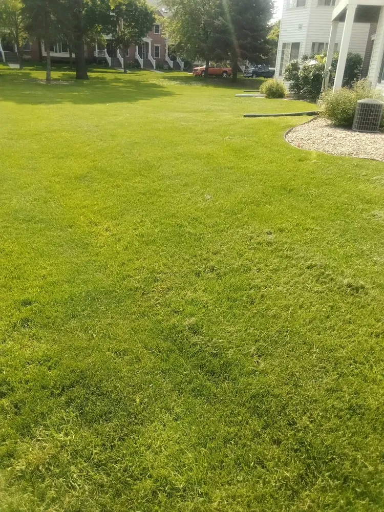 Expert yard maintenance in Madison, WI - Two Brothers Lawn Care