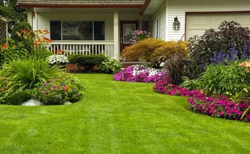 Expert lawn mowing service experts serving Minneapolis, MN - Two Brothers Lawn Care