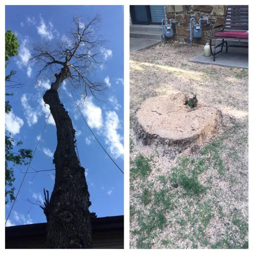 Local lawn care service in Owasso, OK - Two Brothers Lawn Care