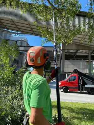 Two Brothers Lawn Care Logo