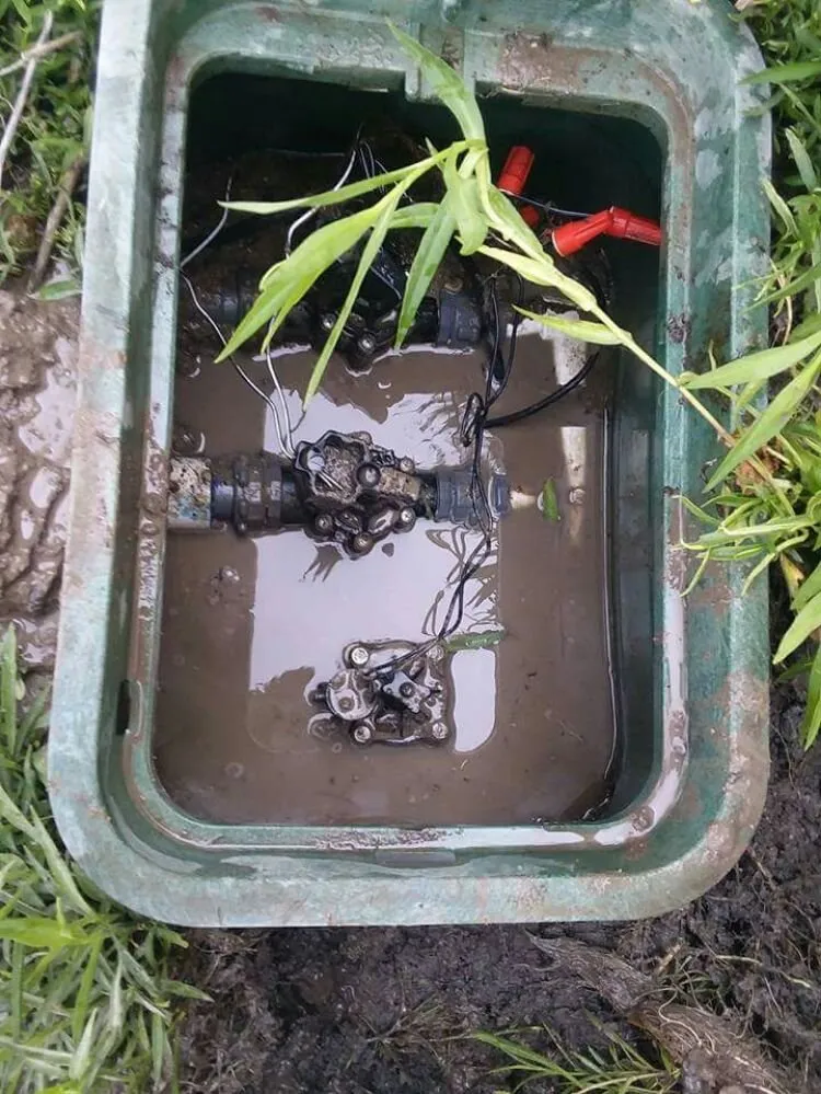 Top-rated yard maintenance in Hyrum, UT by Two Brothers Lawn Care Services