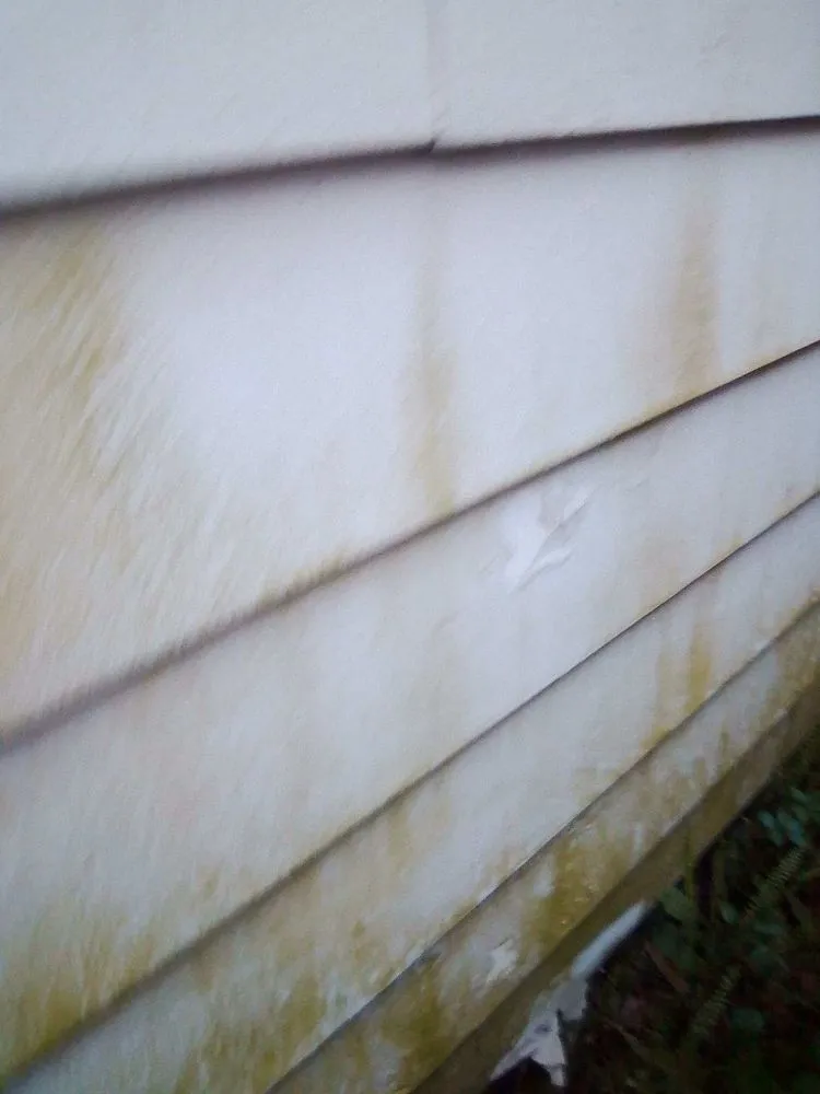 Trusted yard maintenance in Portsmouth, VA by Two brothers painting and Pressure Washing