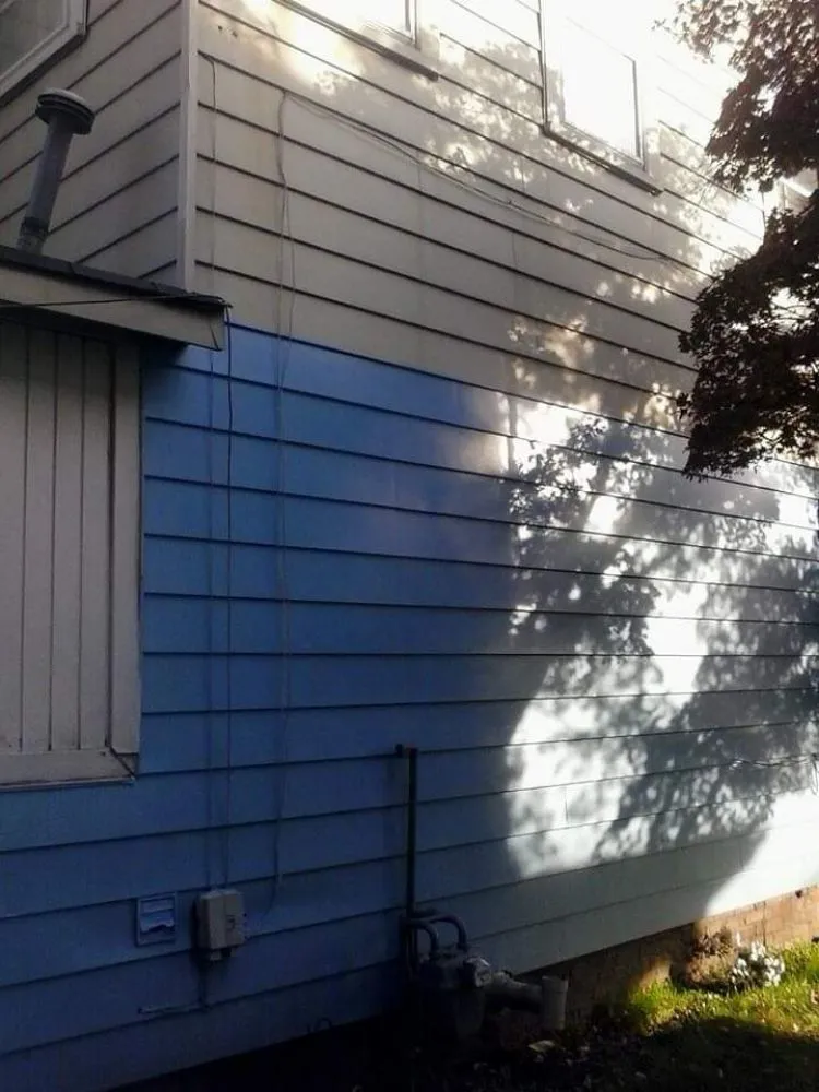 Local outdoor landscaping for residential properties across Portsmouth, VA - Two brothers painting and Pressure Washing