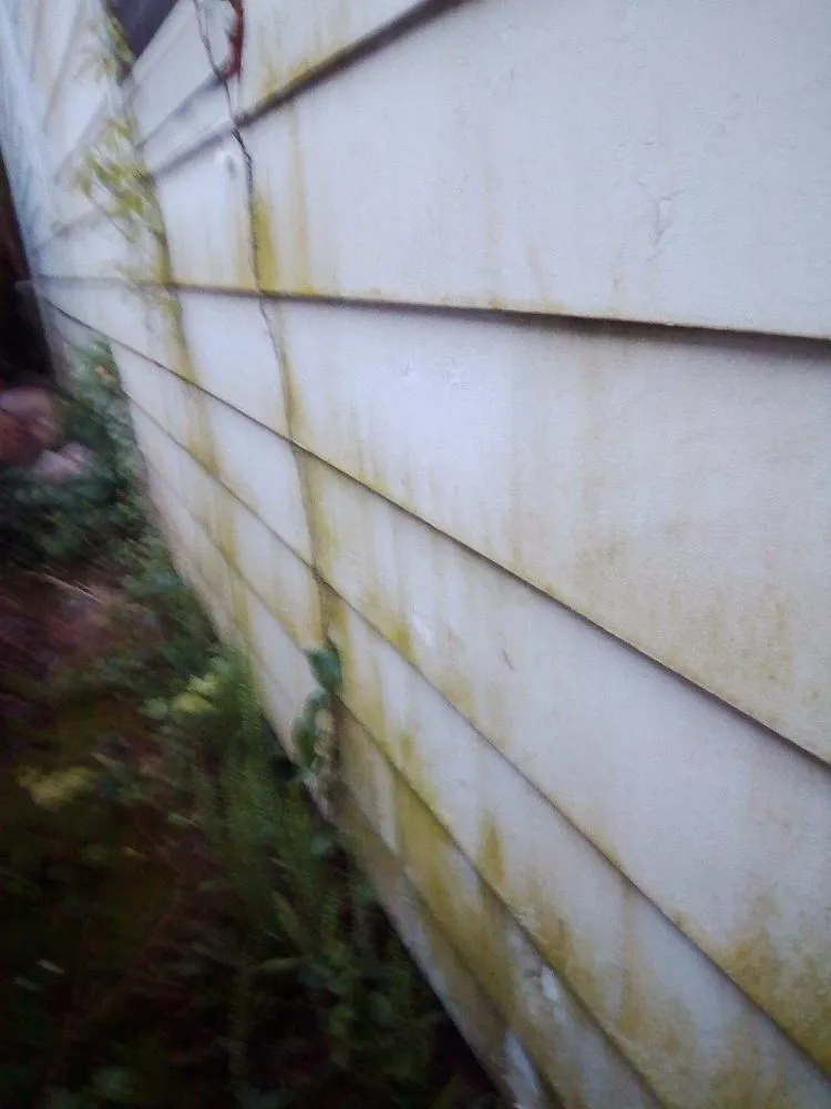 Affordable yard maintenance in Portsmouth, VA - Two brothers painting and Pressure Washing
