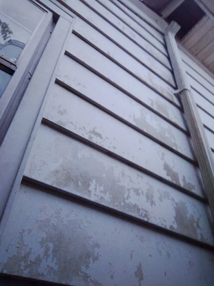 Professional landscaping services for beautiful yards across Portsmouth, VA - Two brothers painting and Pressure Washing