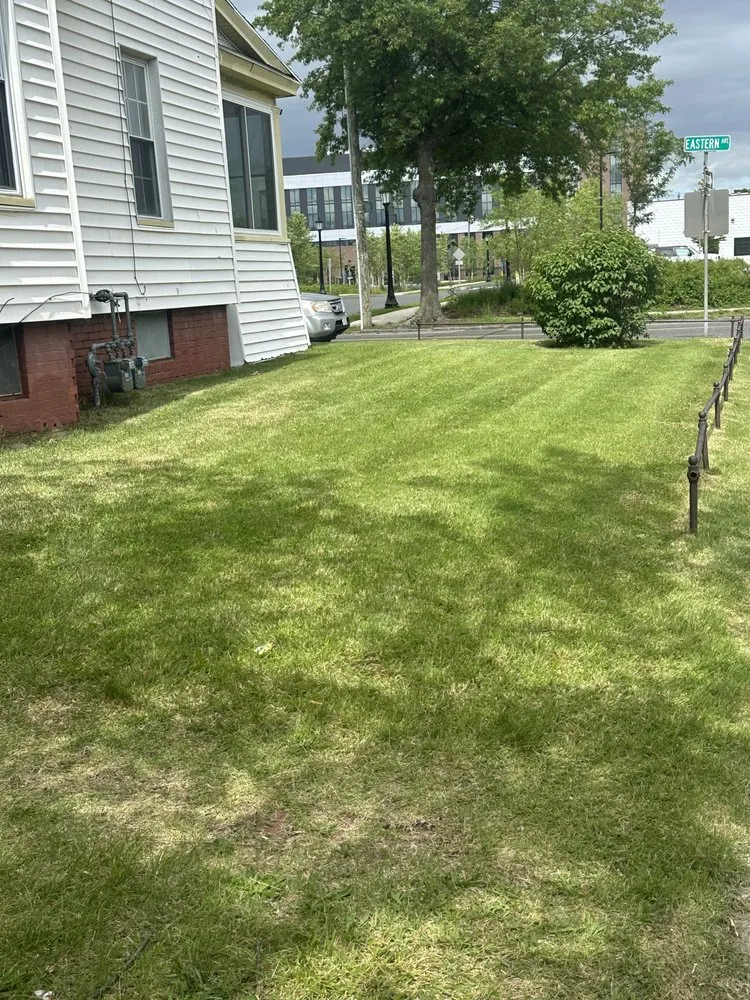 Top-rated residential landscaping with custom design across Chicopee, MA - Two Brothers Tree Service & Landscaping