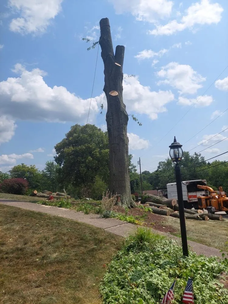 Local lawn mowing service in Chicopee, MA - Two Brothers Tree Service & Landscaping