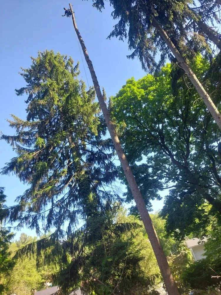 Professional lawn mowing service for beautiful yards across Chicopee, MA - Two Brothers Tree Service & Landscaping