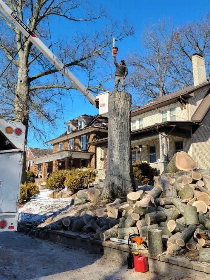 Custom landscape design for residential properties across Chicopee, MA - Two Brothers Tree Service & Landscaping