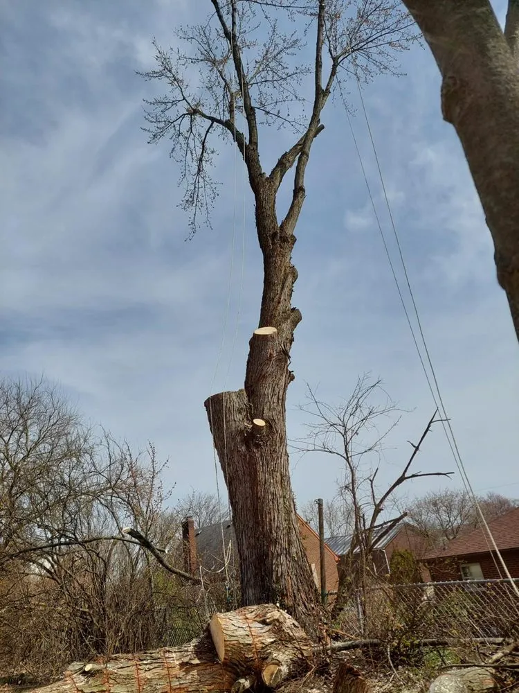 Affordable landscaping services for residential properties in Chicopee, MA by Two Brothers Tree Service & Landscaping