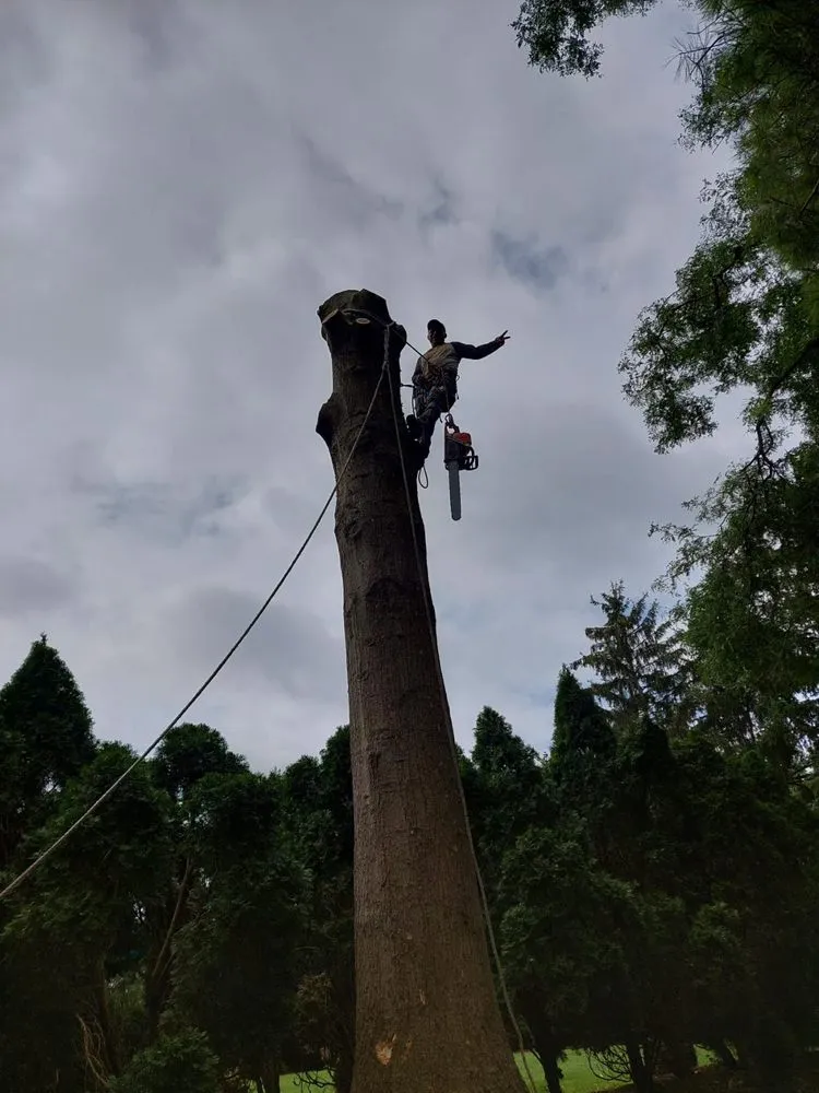 Local landscape installation for homes in Chicopee, MA by Two Brothers Tree Service & Landscaping