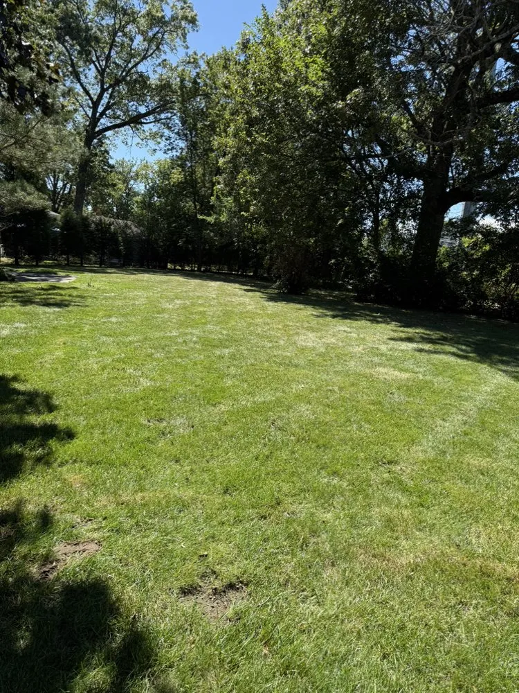 Top-rated yard cleanup service for residential properties across Chicopee, MA - Two Brothers Tree Service & Landscaping