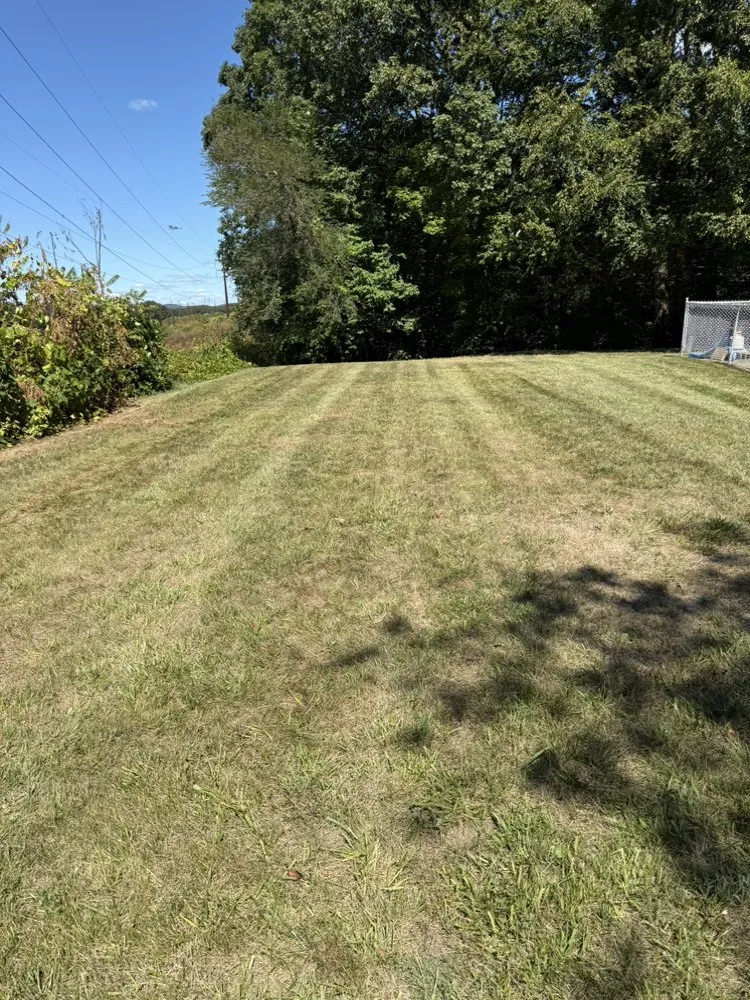 Top-rated landscape design in Chicopee, MA by Two Brothers Tree Service & Landscaping