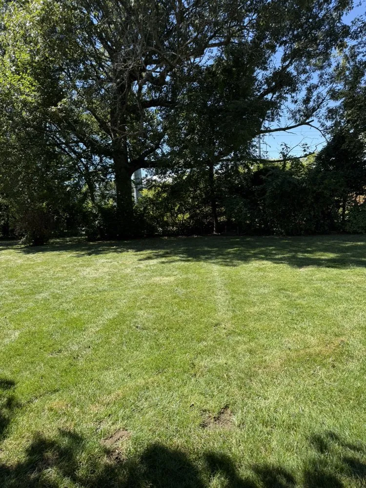 Local lawn mowing service in Chicopee, MA by Two Brothers Tree Service & Landscaping