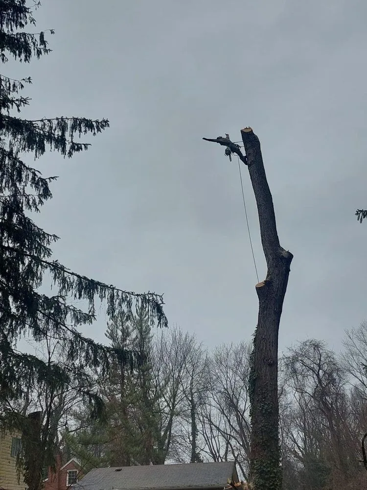 Top-rated landscape installation for year-round maintenance across Chicopee, MA - Two Brothers Tree Service & Landscaping