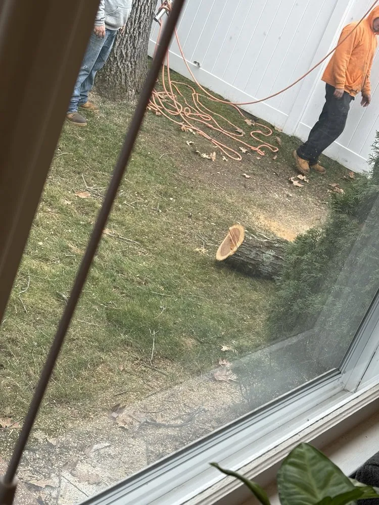 Professional lawn care service for residential properties across Chicopee, MA - Two Brothers Tree Service & Landscaping