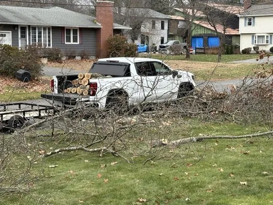 Two Brothers Tree Service & Landscaping Logo