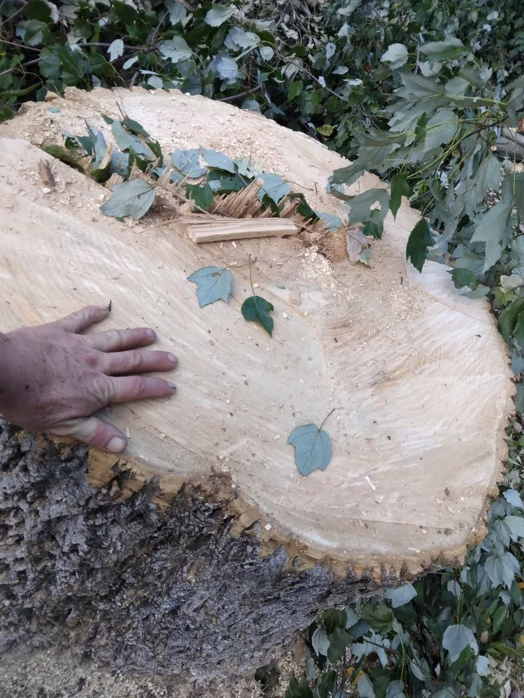 Custom landscape design for outdoor upgrades in Knoxville, TN by Two Brothers Tree Service and Landscaping