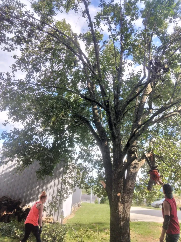 Reliable garden landscaping for year-round maintenance across Knoxville, TN - Two Brothers Tree Service and Landscaping