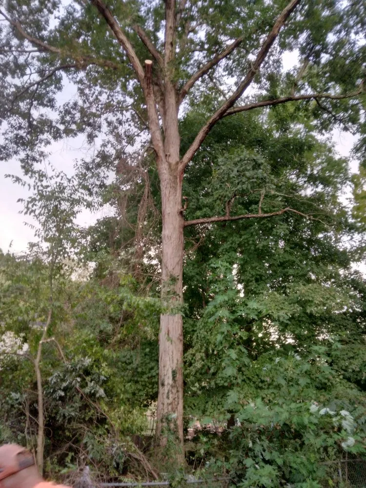 Top-rated garden landscaping in Knoxville, TN - Two Brothers Tree Service and Landscaping